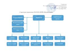 Структура управления МАУДО ДООЦ "Калейдоскоп"